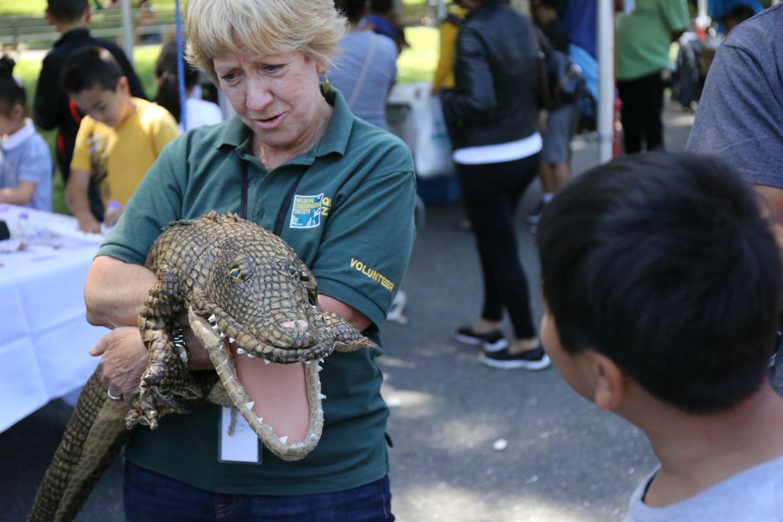This woman from the Queens Zoo freaked people out with her fake alligator.